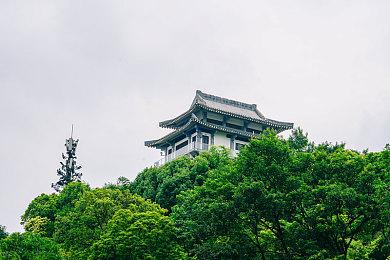 《原神》4.3「蔷薇与铳枪」版本公布 12＆20上线